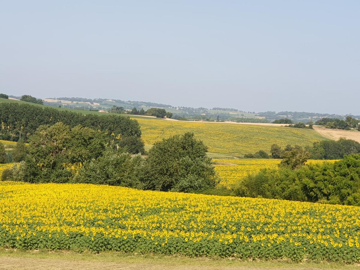 Gite La Halippe Caussens Exteriör bild